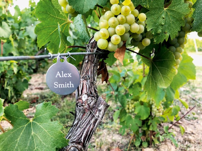A Cuvée Privée member’s name tag by a vine