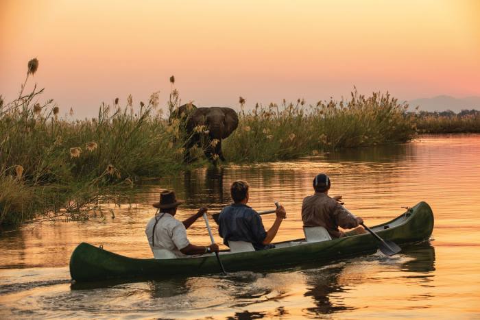 Elephants and hippos are among the animals that can be spotted while kayaking from Tembo Plains Camp