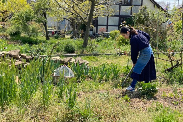 A Kitchen Farming Project in Kyoto
