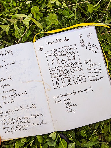A journal planning a vegetable plot