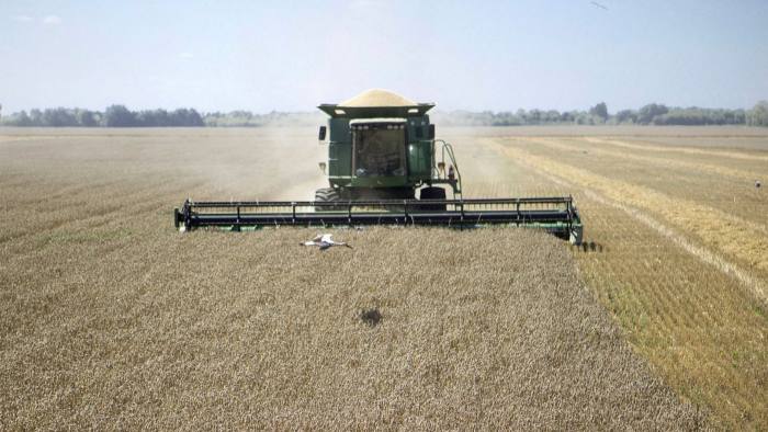 A combine harvester trims a field of wheat in Chernihiv, Ukraine