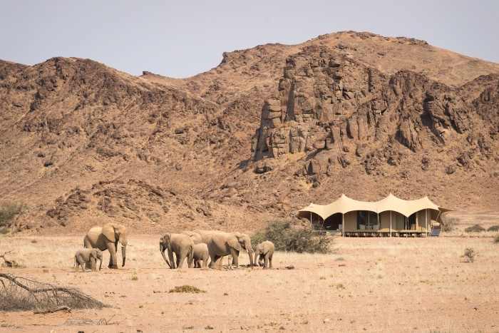 Elephants visit the tents at Hoanib Skeleton Coast Camp