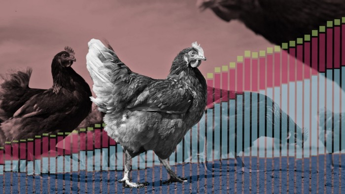 A montage of chickens and a graph showing the expansion of the poultry industry  