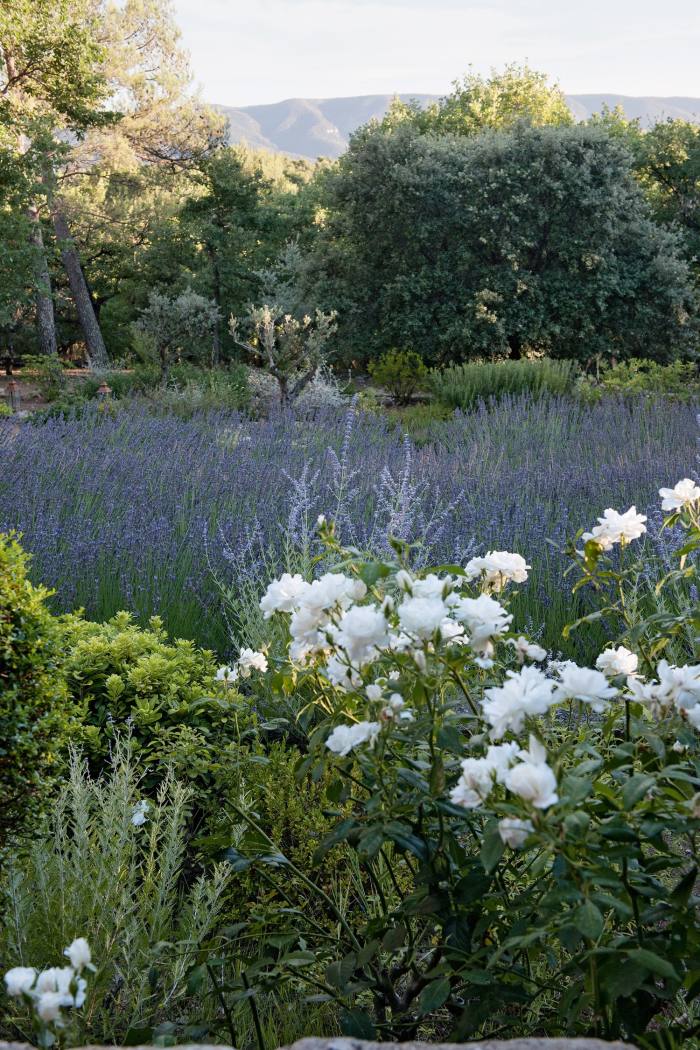 Sauvage’s Provençal gardens