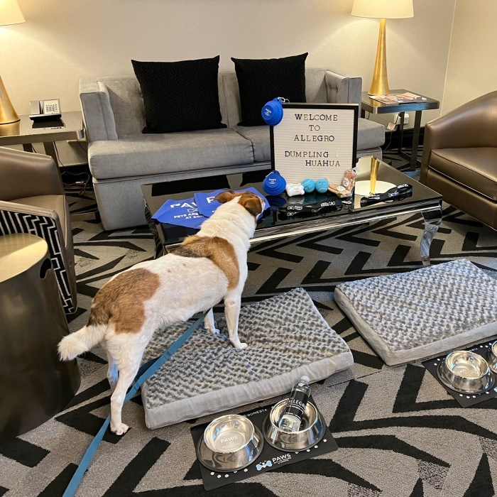 The Allegro Royal Sonesta Hotel Chicago Loop welcomes the author’s dogs with leashes, water bowls and toys