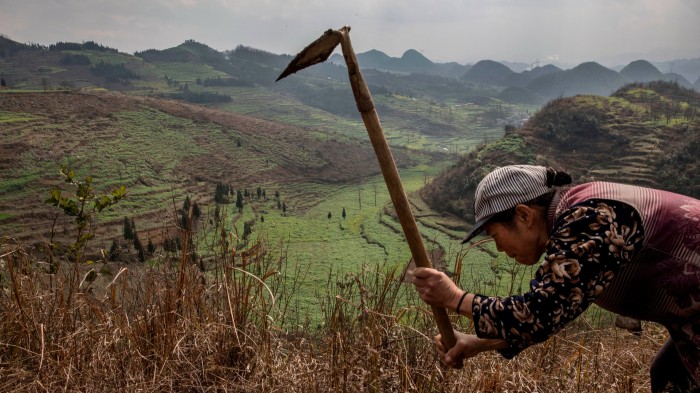 A man working in a field in Guizhou