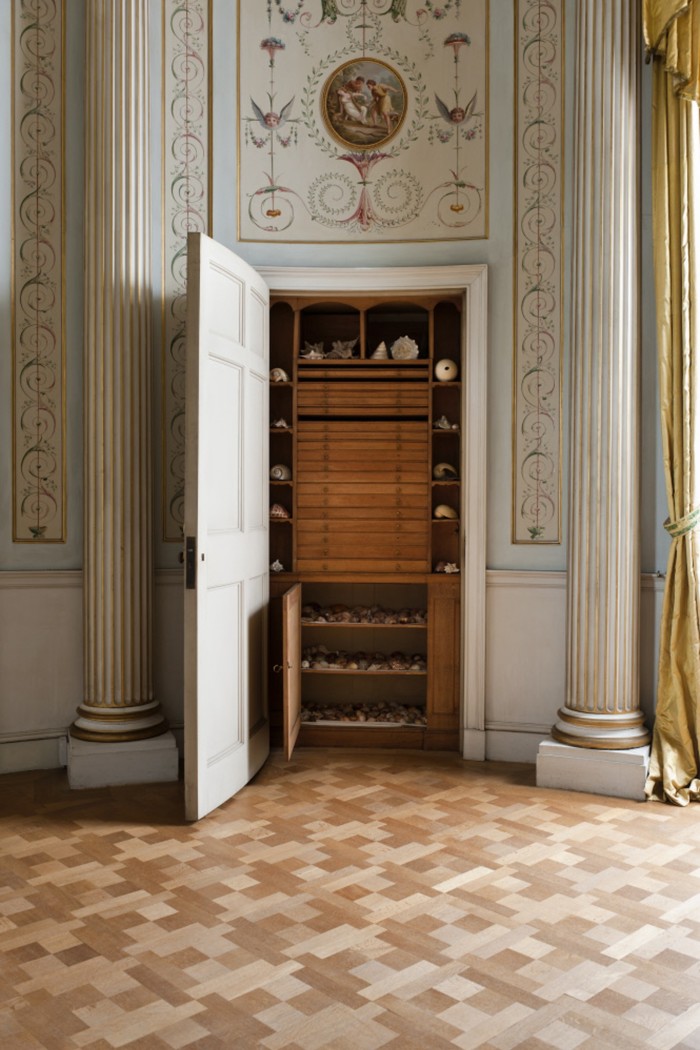 A disguised cupboard at Attingham contains a shell collection