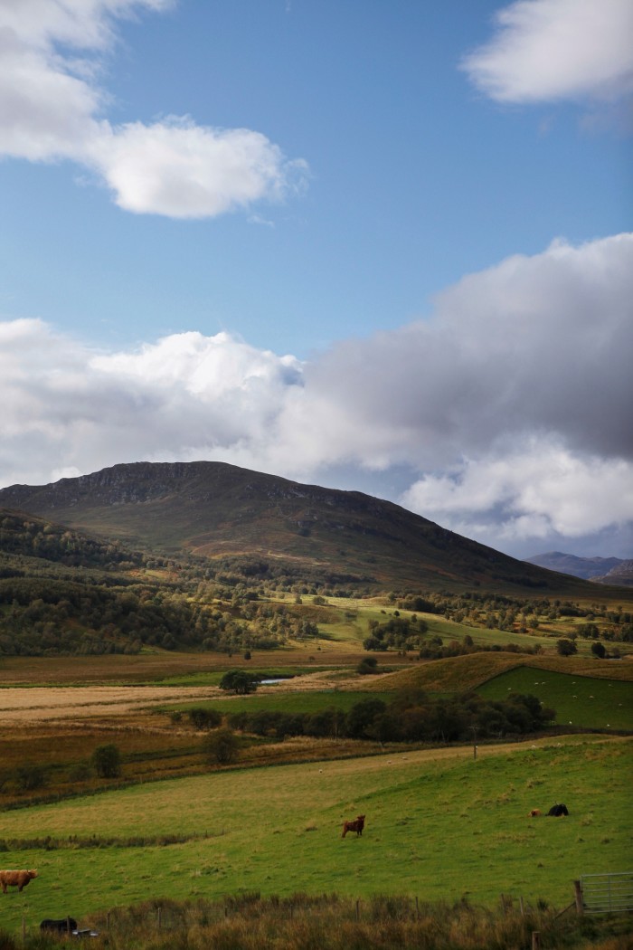 The Ochil Hills, north of the Forth Valley