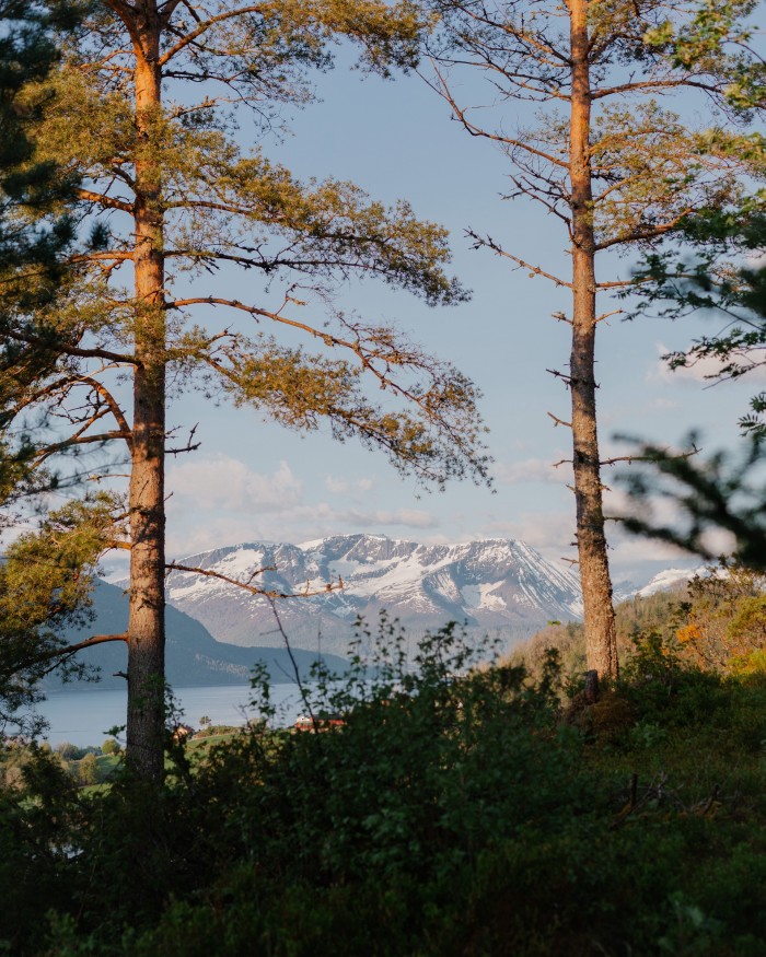 Storfjorden, seen from Storfjord Hotel Glomseth Bay