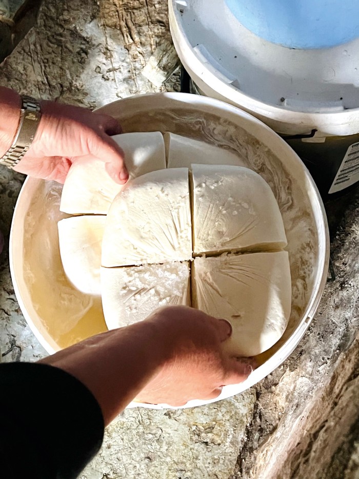 Making sheep’s cheese