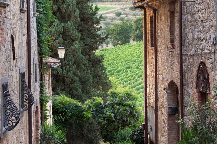 Views from Osteria Fonterutoli in Tuscany