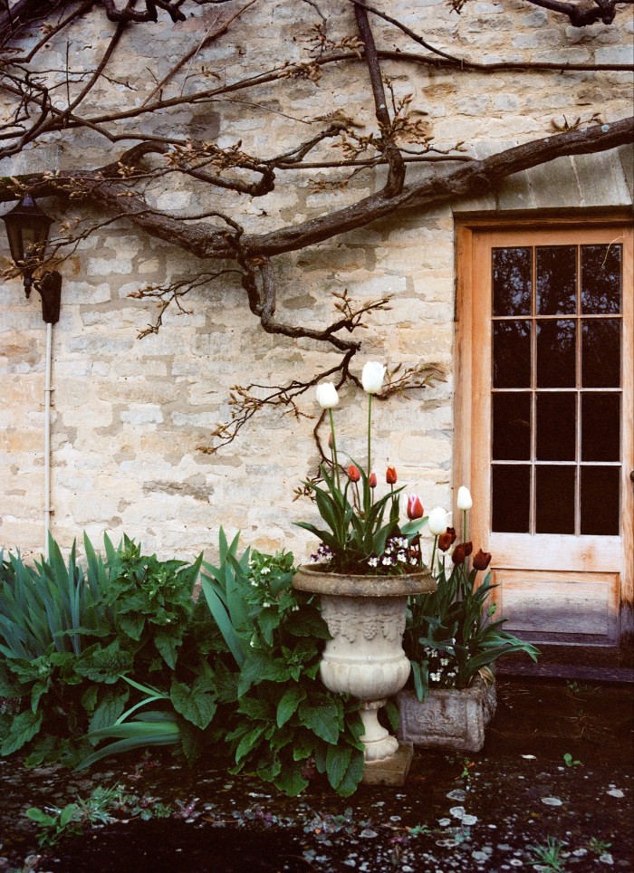 Moss’s earliest ambitions with Cosmoss were to evoke an English country garden