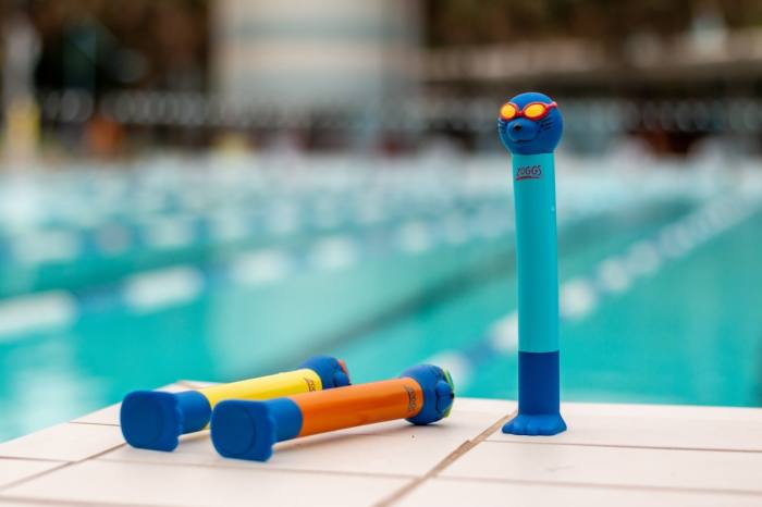 Zoggs Zoggy Dive Sticks, £12 for three