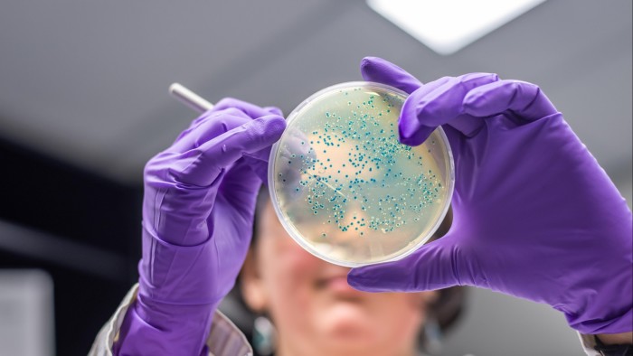 Gloved hands hold a Petri dish speckled with bacteria