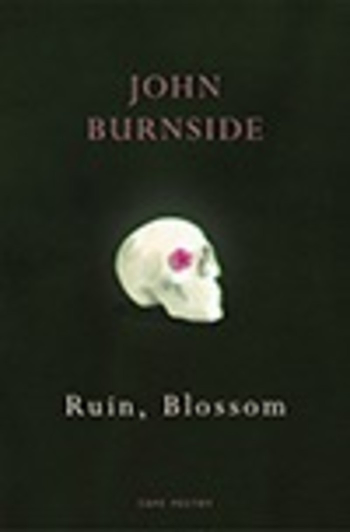 Book cover of ‘Ruin, Blossom’