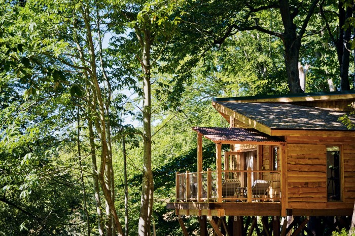 A treehouse on the Cowdray estate