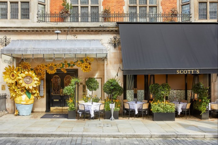Sunflowers have arrived at Mayfair seafood institution Scott’s this autumn
