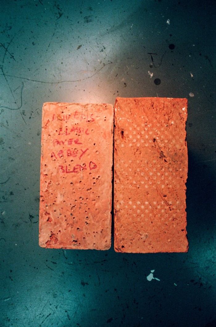 Two of her collection of bricks