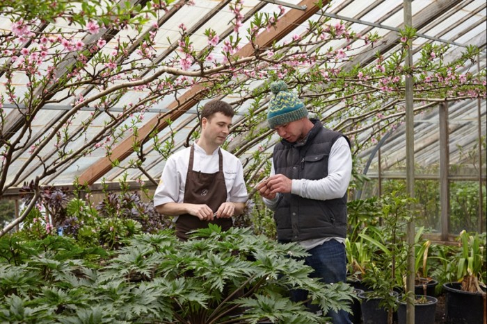 Coward and Blogg examine blossoms in the peach house