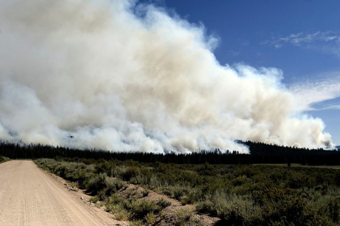 A general view of the northeastern flank of the Sugar Fire