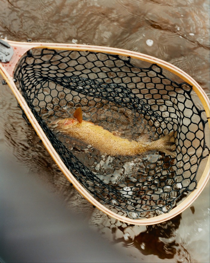 A cut-throat trout caught at Rock Creek