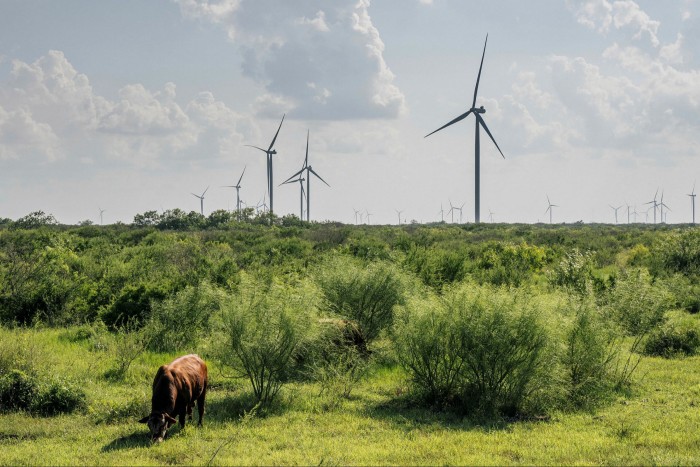 Wind turbines in Papalote, Texas. If it were a country, the US state would be the world’s fifth largest producer of wind energy