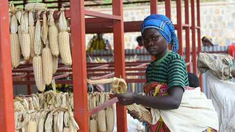 A woman sorts maize at an Africa Improved Foods centre in Rwanda