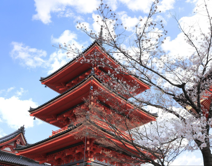 Fushimi Inari shrine, Kyoto
