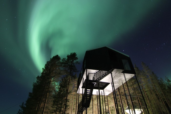 The aurora borealis above a treehouse at Treehotel