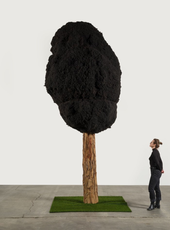 A woman in a gallery looks up at a tall tree with black mass instead of leaves and branches