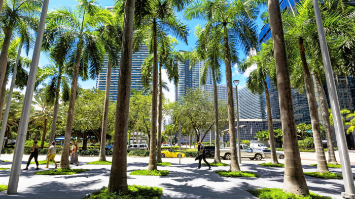 The financial district in downtown Miami