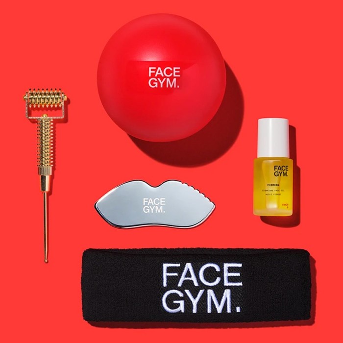FaceGym Essential Online Workout Kit, £153