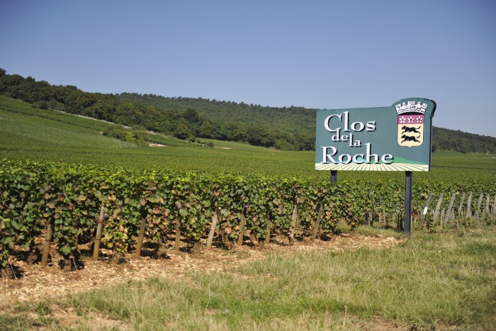 The Clos de la Roche vineyard in Morey-Saint-Denis, in the Côte-d'Or