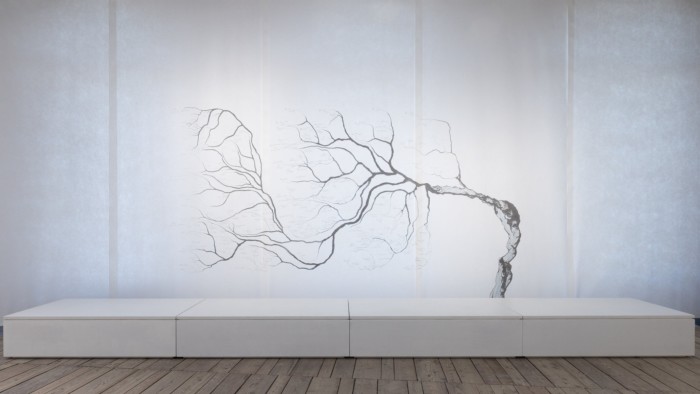 The bare branches of a curving tree on white paper