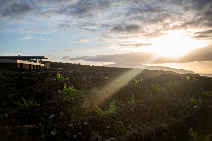 The Azores Wine Company’s new winery “emerges from the landscape like a Stone Age spaceship”