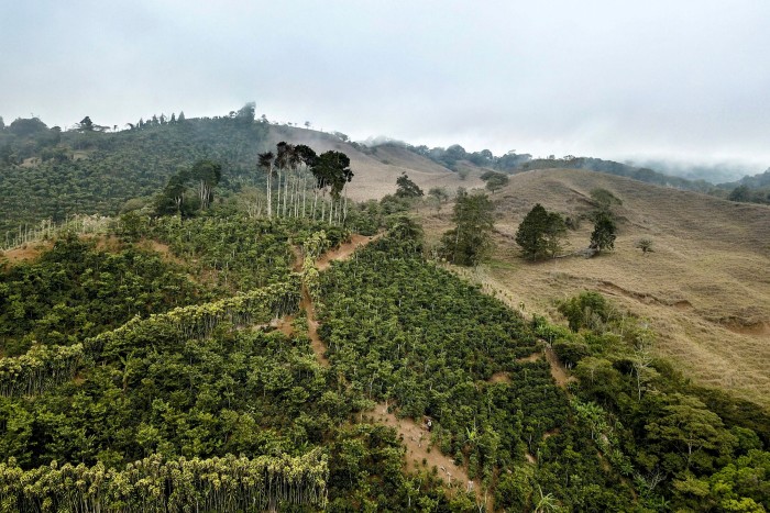 Nespresso employees spend three days on coffee farms in Costa Rica