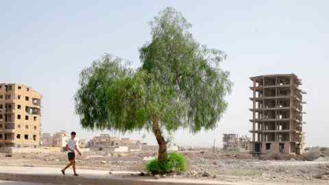 A young man walks past a lone tree growing among the ruins of buildings