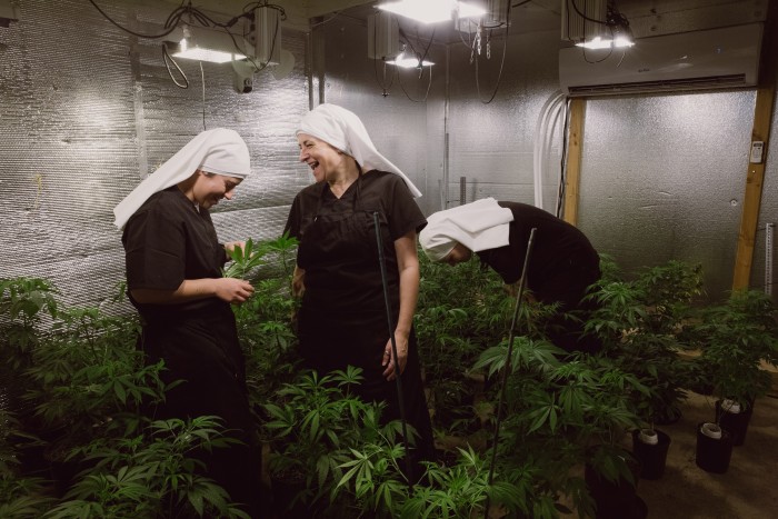 The Sisters of the Valley on their California farm