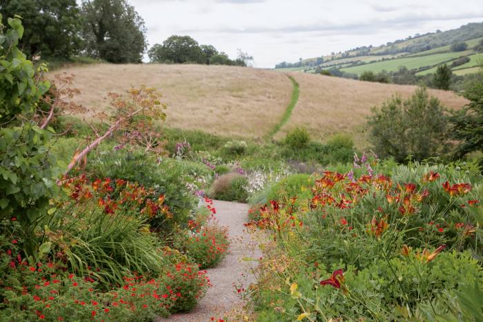 The central path of the garden seen in summer, with vibrant reds of Potentilla “Gibson’s Scarlet” and Hemerocallis “Stafford”