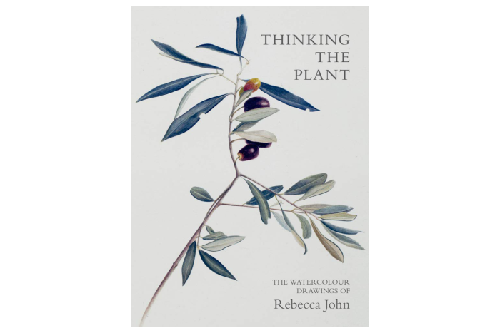 Thinking the Plant: The Watercolour Drawings of Rebecca John