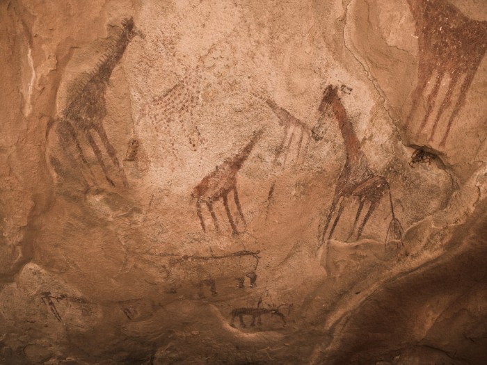 Rock art depicting giraffes and rhino