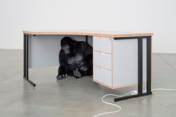 A gorilla sculpture with bright red eyes hides underneath a large, white wooden desk with three drawers