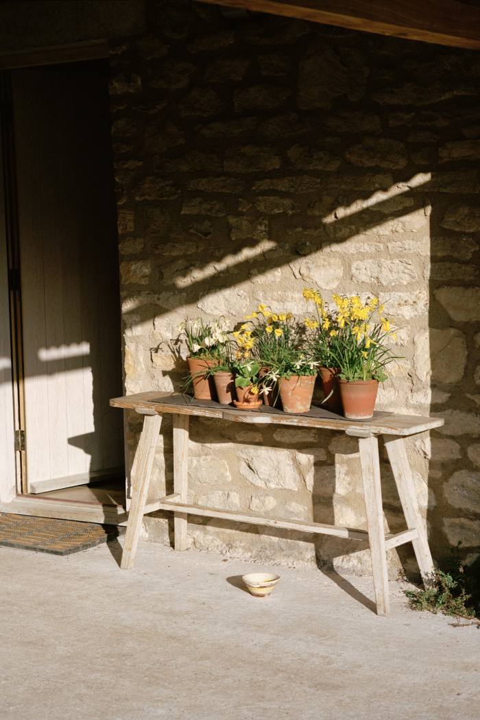 A display of miniature daffodils on a side table outside the house