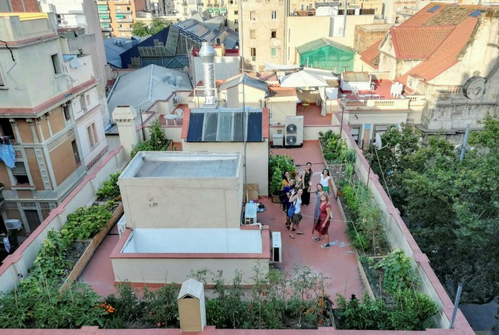 A communal rooftop garden in Barcelona
