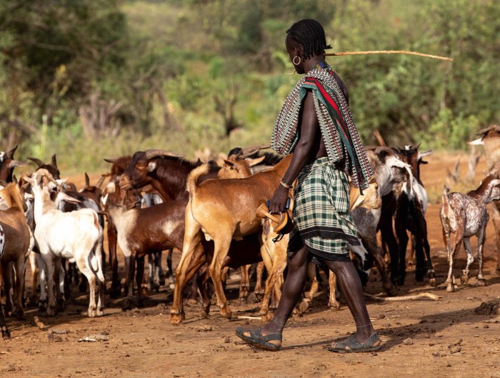 A Hamar cattle herder in Ethiopia, where Wild Philanthropy’s employment schemes tackle poverty in local communities