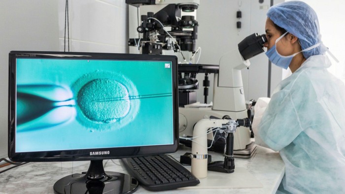 A technician injects a sperm into an egg cell during in vitro vertilisation