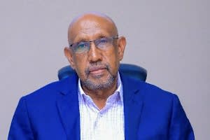 Water expert Ahmed Esa says some parts of Somaliland receive only 150mm of rainfall a year