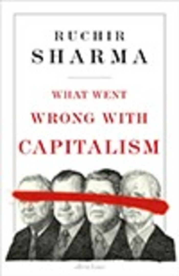 Book cover of ‘What Went Wrong With Capitalism’