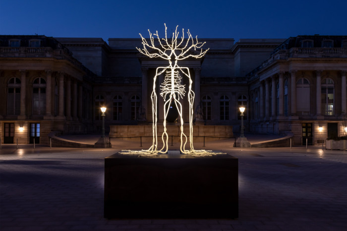 Imagine a large sculpture of a human skeleton where the bones are actually branches
