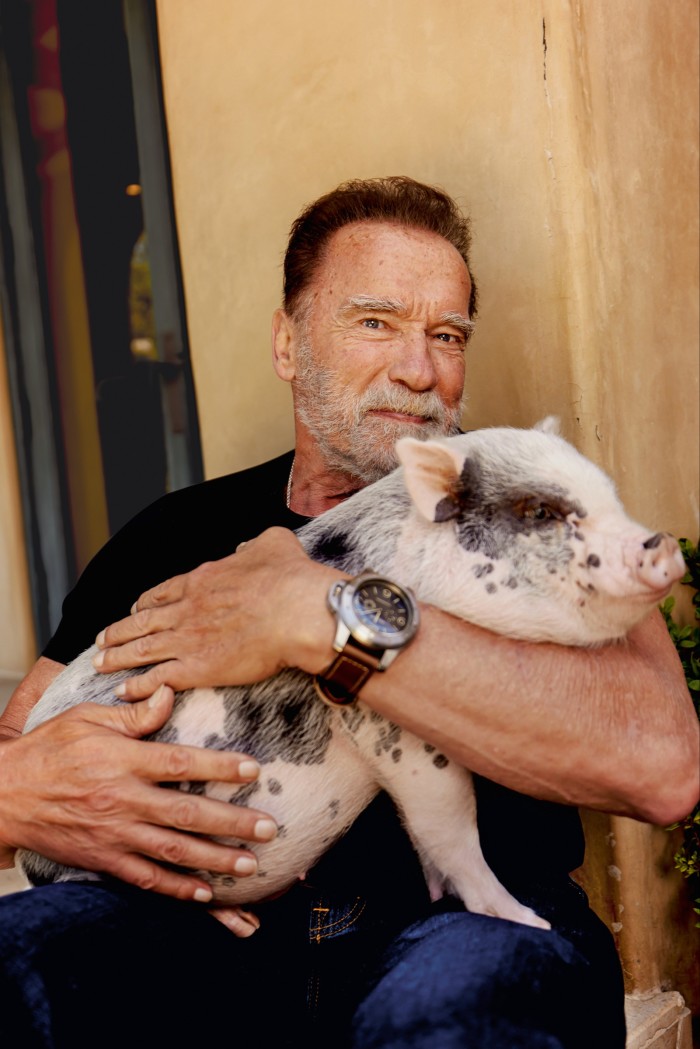 The actor with his pet pig, Schnelly